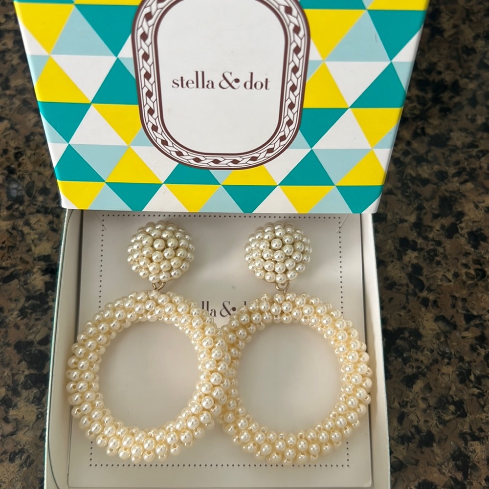 Brand new Beautiful earrings